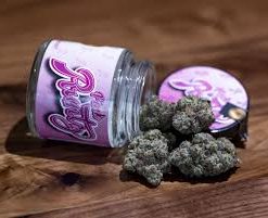 Purple Runtz Strain For Sale In San Francisco With Guaranteed Delivery Worldwide
