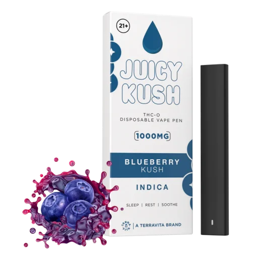 Buy THC-O Disposable Vape Pen Blueberry Kush
